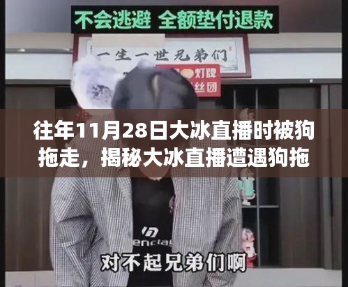 揭秘大冰直播遭遇狗拖走事件，安全觀看直播的實(shí)用指南