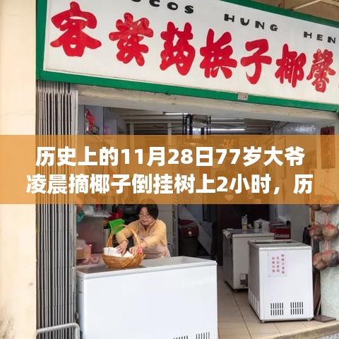 歷史上的今天，一位勇敢的77歲大爺凌晨冒險(xiǎn)摘椰子，倒掛樹(shù)上兩小時(shí)的壯舉！