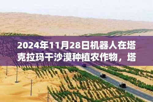 塔克拉瑪干沙漠機(jī)器人農(nóng)業(yè)革命，種植挑戰(zhàn)與未來展望（2024年）