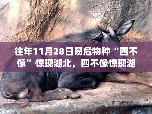 第2437頁