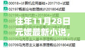 往年11月28日元媛最新小說(shuō)詳解與閱讀攻略，輕松引領(lǐng)你進(jìn)入學(xué)習(xí)之旅