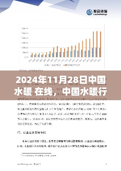 中國水暖行業(yè)在線發(fā)展展望，未來趨勢與洞察（2024年視角）