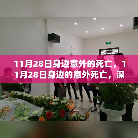 11月28日意外死亡事件深度探討與理解