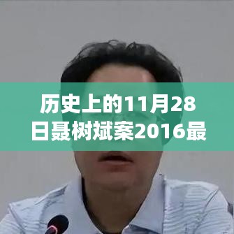 科技重塑正義，聶樹(shù)斌案最新進(jìn)展揭秘與歷史時(shí)刻回顧