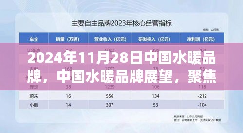 2024年11月28日中國水暖品牌展望與行業(yè)洞察