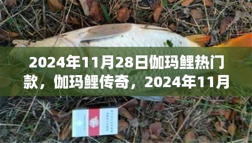 揭秘伽瑪鯉傳奇，熱門款背后的故事與深遠影響
