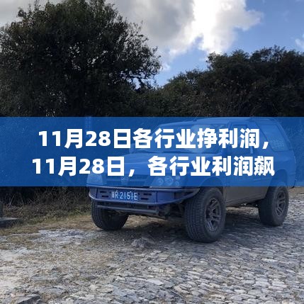 11月28日各行業(yè)利潤(rùn)飆升，開啟自然探索之旅的黃金時(shí)機(jī)！