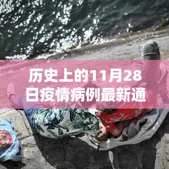 歷史上的11月28日疫情病例最新通報(bào)，積極應(yīng)對與潛在挑戰(zhàn)分析