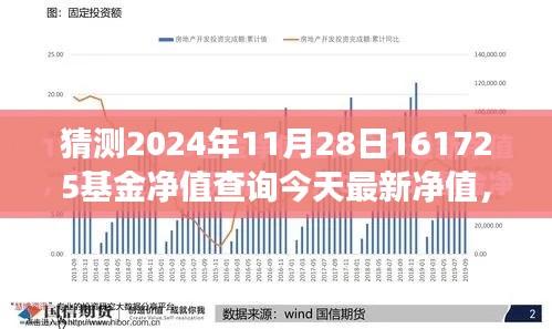探尋自然秘境之旅，啟程對話心靈，預(yù)測基金凈值的小插曲——最新凈值查詢與預(yù)測分析（XXXX年XX月XX日）