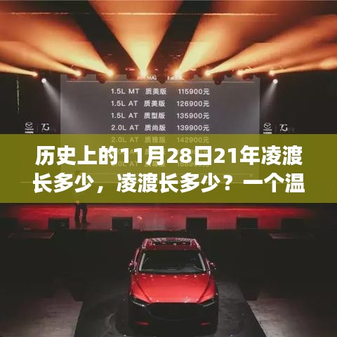 溫馨故事，凌渡車長揭秘，歷史上的今天與溫馨的相遇——11月28日的故事