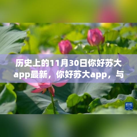 啟程尋找內(nèi)心的平和，你好蘇大app與自然美景的奇妙邂逅歷史上的11月30日回顧