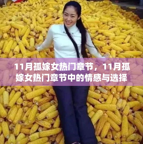 深度解析與觀點闡述，11月孤嫁女熱門章節(jié)中的情感與選擇之路