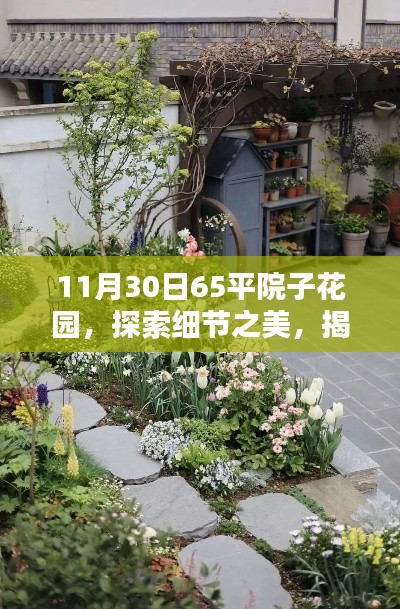 揭秘，11月30日65平院子花園的獨特魅力與細節(jié)之美探索