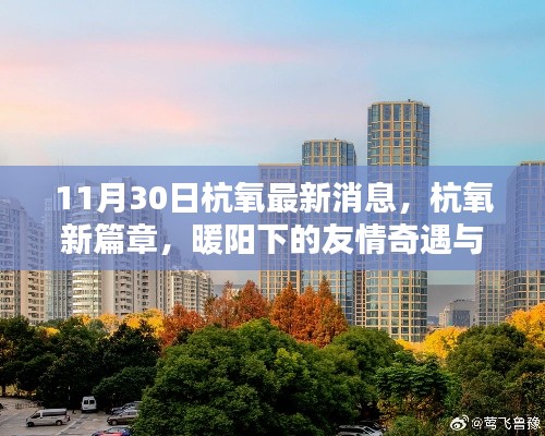 杭氧新篇章，暖陽下的友情奇遇與家的溫馨時光（11月30日最新消息）