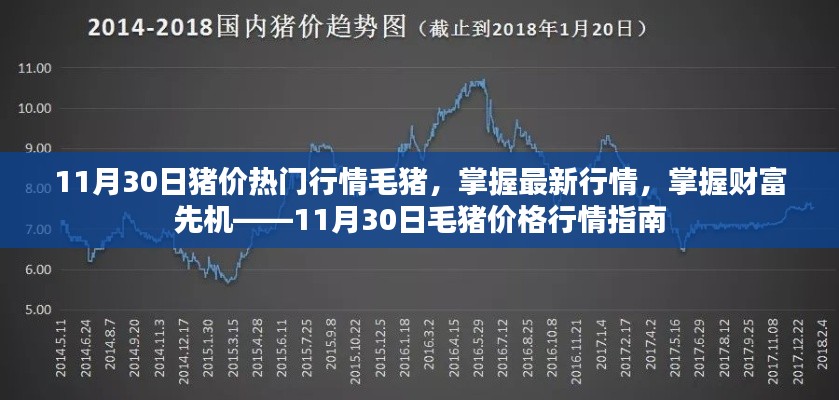 11月30日毛豬價格行情指南，掌握最新熱門行情，洞悉財富先機