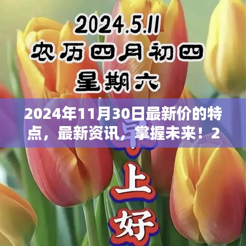掌握未來！2024年11月30日最新價特點與獲取指南