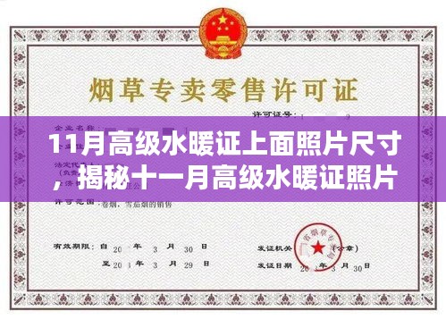 揭秘十一月高級水暖證照片尺寸要求，專業(yè)指南來自小紅書