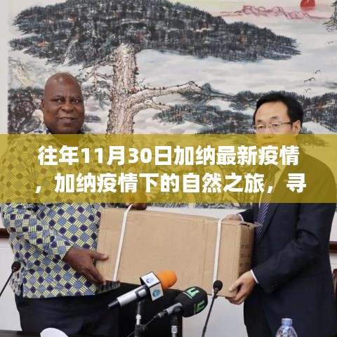 加納疫情下的自然之旅，尋找內(nèi)心的寧靜與自然的魅力（往年11月30日最新疫情背景）