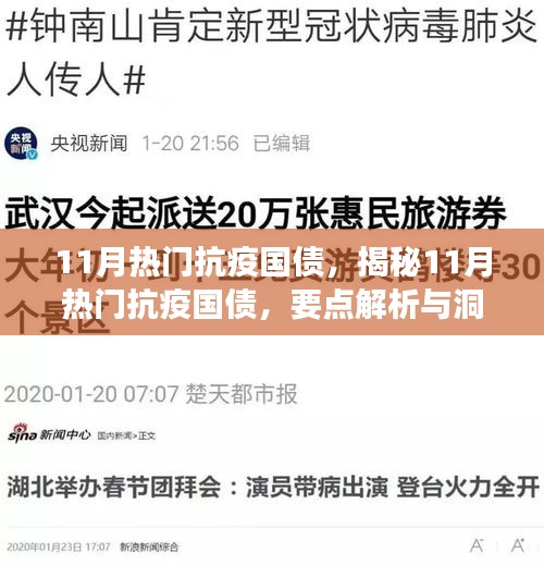 揭秘?zé)狳c(diǎn)抗疫國(guó)債，解析要點(diǎn)與洞察深度解讀