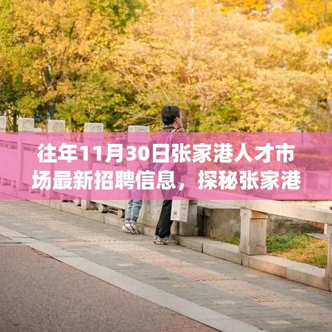 探秘張家港人才市場，最新招聘信息與小巷深處的獨特小店揭秘