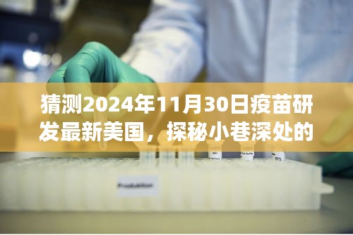 探秘美國隱藏式特色小店，疫苗研發(fā)最新動態(tài)與奇妙故事揭曉于2024年11月30日