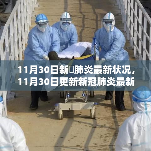 11月30日新冠肺炎最新動(dòng)態(tài)解析，全面洞悉疫情現(xiàn)狀