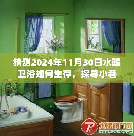 探索水暖衛(wèi)浴行業(yè)未來生存之道，小巷秘境中的特色發(fā)展預(yù)測到2024年11月30日的影響與展望