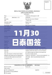 泰國(guó)簽證辦理流程全面解析，最新熱門(mén)指南（11月30日版）