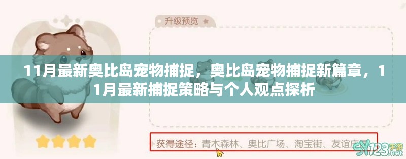 11月奧比島寵物捕捉新篇章，策略與個人觀點(diǎn)探析