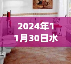 揭秘水暖衛(wèi)浴行業(yè)風(fēng)云變幻，倒閉真相與啟示背后的日子——2024年11月30日回顧