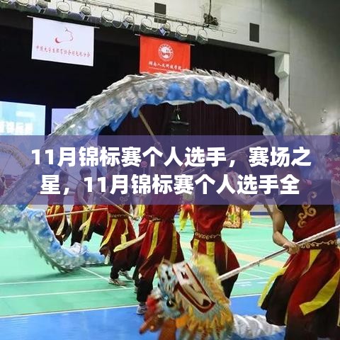 賽場(chǎng)之星，全面測(cè)評(píng)與介紹十一月錦標(biāo)賽個(gè)人選手風(fēng)采