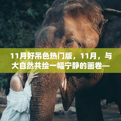 11月心靈之旅，與自然共繪寧靜畫卷的啟程