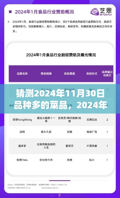 2024年11月30日，菜品繁盛展望與回顧，多樣美食的盛宴
