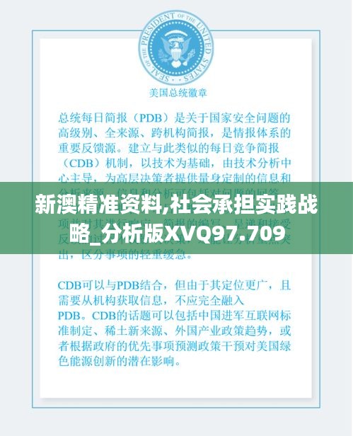 新澳精準(zhǔn)資料,社會承擔(dān)實踐戰(zhàn)略_分析版XVQ97.709