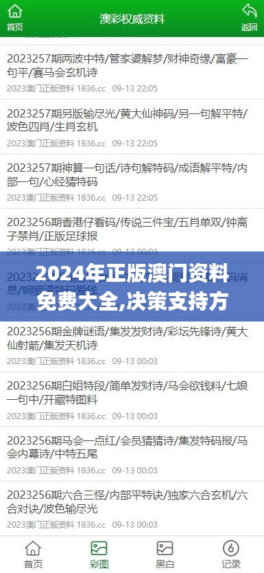 2024年正版澳門資料免費大全,決策支持方案_PMB82.733私人版