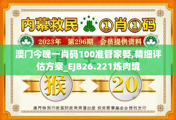 澳門今晚一肖碼100準管家娶,精細評估方案_EJB26.221煉肉境