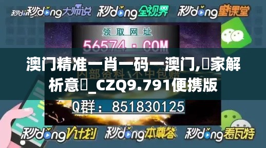 澳門精準一肖一碼一澳門,專家解析意見_CZQ9.791便攜版