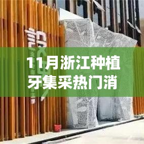 浙江種植牙集采最新動(dòng)態(tài)解析，熱門消息一網(wǎng)打盡