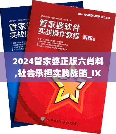 2024管家婆正版六肖料,社會承擔實踐戰(zhàn)略_IXX78.180工具版