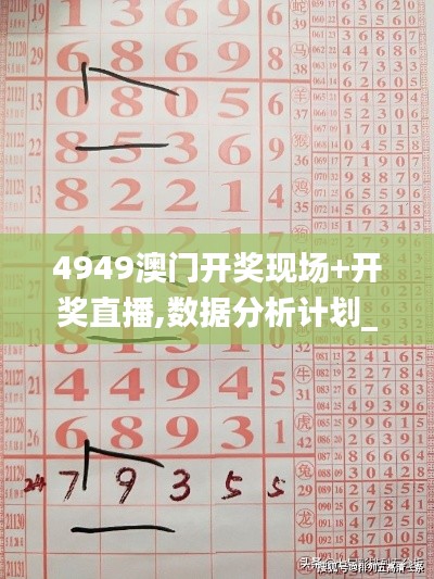 4949澳門開獎現(xiàn)場+開獎直播,數(shù)據(jù)分析計劃_HLR22.520迅捷版