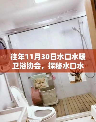 探秘水口水暖衛(wèi)浴協(xié)會(huì)，小巷深處的獨(dú)特小店與溫暖寶藏之旅