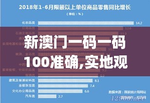 新澳門一碼一碼100準(zhǔn)確,實地觀察解釋定義_本地版DQF25.598