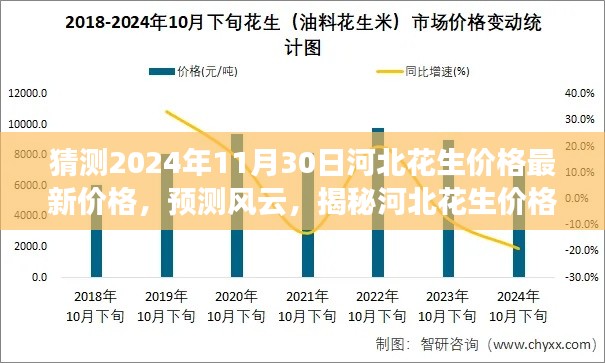 揭秘河北花生價格走勢，最新預測與未來趨勢分析（預測至2024年11月）