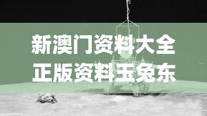 新澳門(mén)資料大全正版資料玉兔東升,高速響應(yīng)計(jì)劃執(zhí)行_ZFS46.9271440p