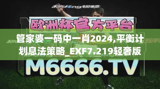 管家婆一碼中一肖2024,平衡計劃息法策略_EXF7.219輕奢版