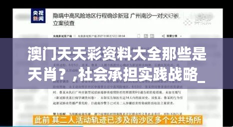 澳門天天彩資料大全那些是天肖？,社會承擔(dān)實踐戰(zhàn)略_PAG84.452游戲版