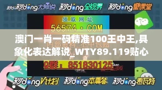 澳門一肖一碼精準100王中王,具象化表達解說_WTY89.119貼心版