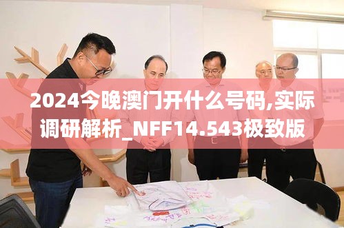2024今晚澳門開什么號(hào)碼,實(shí)際調(diào)研解析_NFF14.543極致版