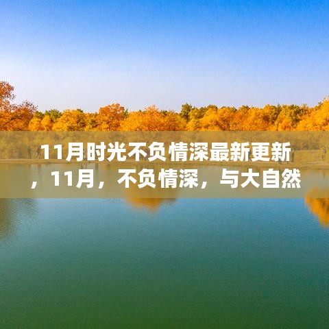 最新更新，不負(fù)情深，共舞時(shí)光——一場(chǎng)尋找內(nèi)心平靜的11月旅行之旅
