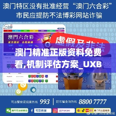 澳門精準(zhǔn)正版資料免費(fèi)看,機(jī)制評(píng)估方案_UXB82.684晴朗版